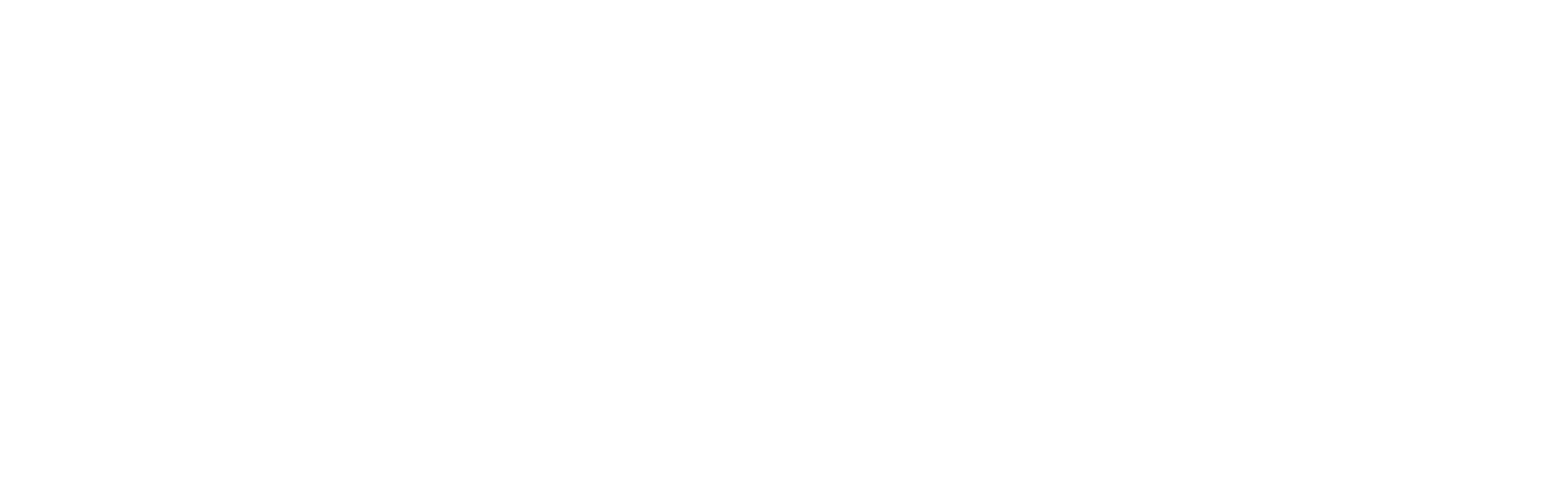 Rashonna web and crystal mcqueen essay 03 image